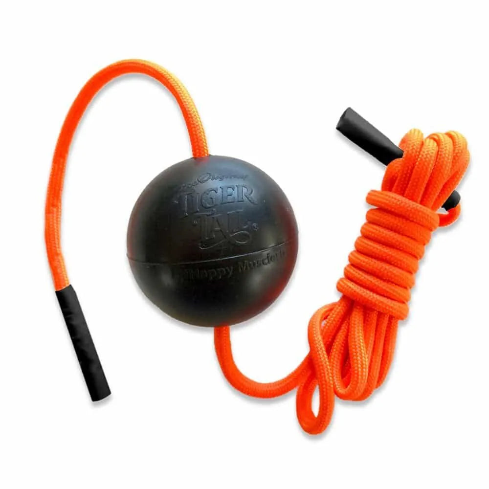 THE Tiger Ball｜タイガーボール
