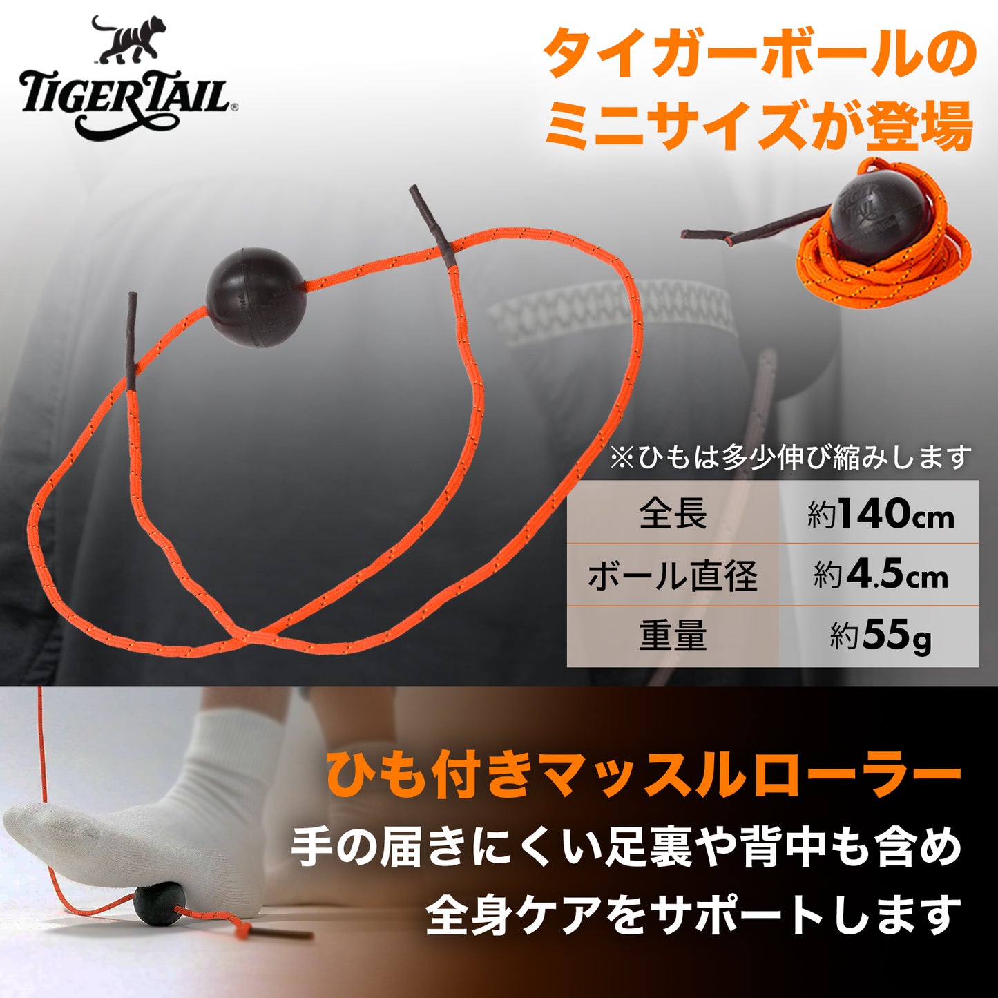 THE Tiger Ball｜タイガーボール
